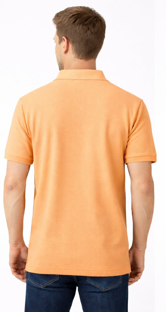 Mens’s solid polo neck t-shirts